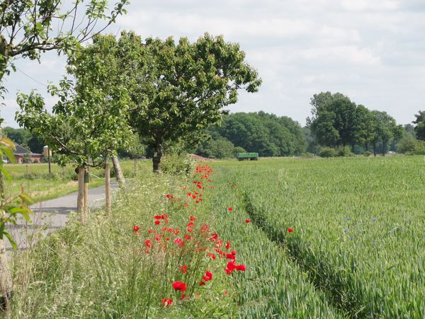 Landschaft