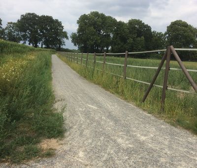 Radweg durch die Marsch_